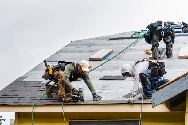 Professional Gutter Installation technician working in South Mills, NC